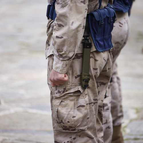 Soldados del Ejército de Tierra español en formación con uniforme de camuflaje desértico.